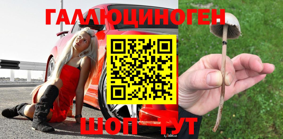 Псилоцибиновые грибы Psilocybine cubensis Рубцовск