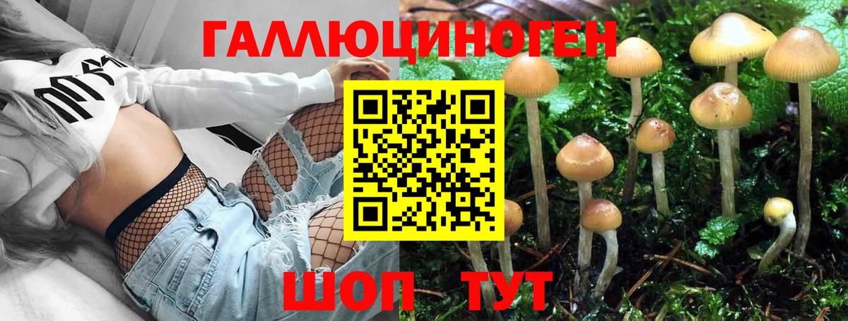 Галлюциногенные грибы прущие грибы  Вход с VPN  где купить   Рубцовск  Псилоцибиновые грибы прущие грибы 